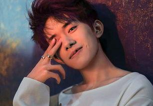 单飞明星,独立翱翔，闪耀星途