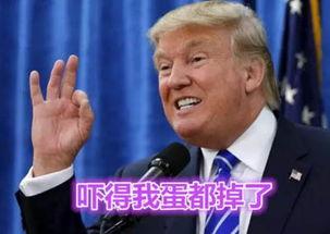 美国大选表情包