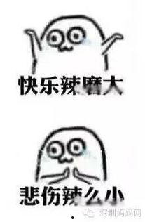 搞笑2015年总结,笑点满满，回味无穷