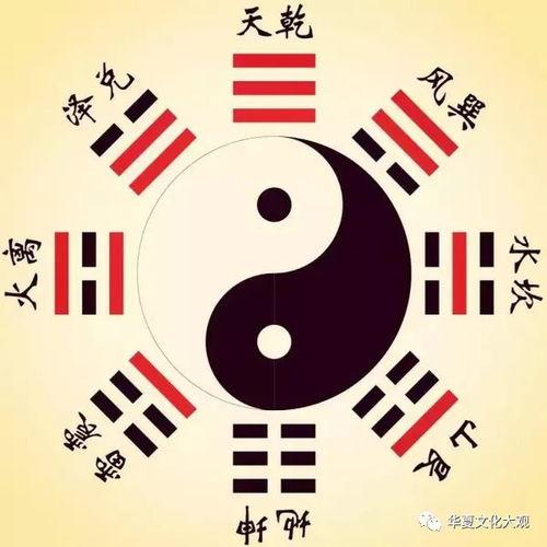 八卦配人体,探寻阴阳五行之间的神秘联系